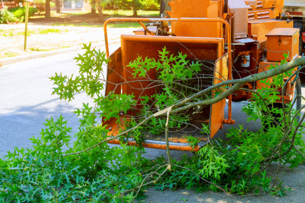 Grass Overseeding in Wetherington, OH